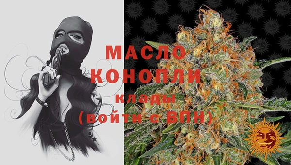гашик Мегион