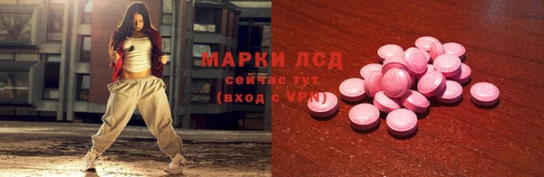 гидра Вяземский