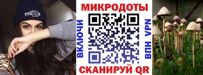 Галлюциногенные грибы Psilocybe  Мышкин 